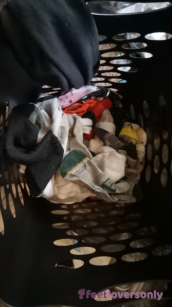 🐶⛓🧦Hamper Full Of My Pet Boyfriend’s Dirty Socks