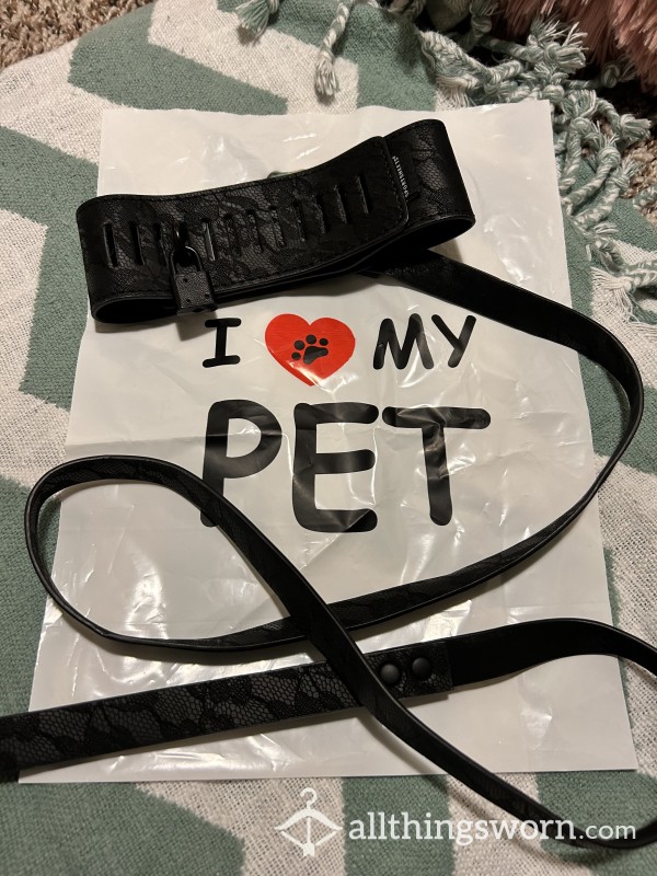 🦮🦮Beautiful Locking Collar And Leash Set W/ Padlock🔐