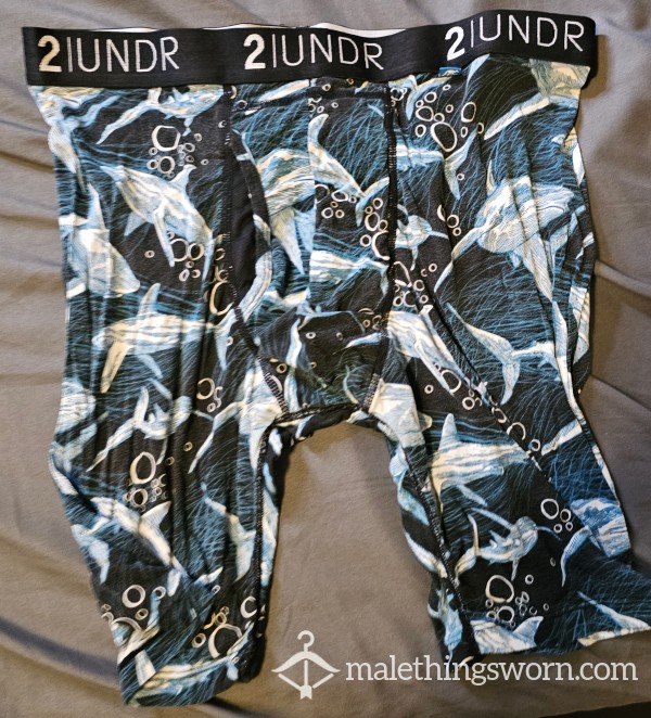 2undr Long Leg Boxer Brief - Whales - Medium