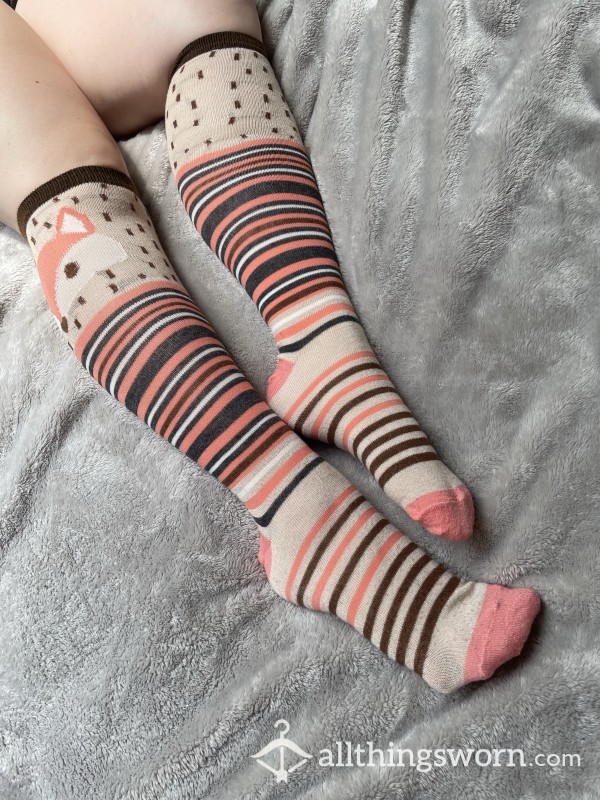 3 DAYS WORN Calf Length Striped Fox Socks!