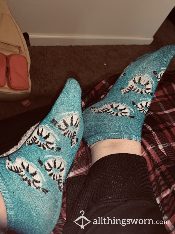 48hr Teal Zebra Socks Worn