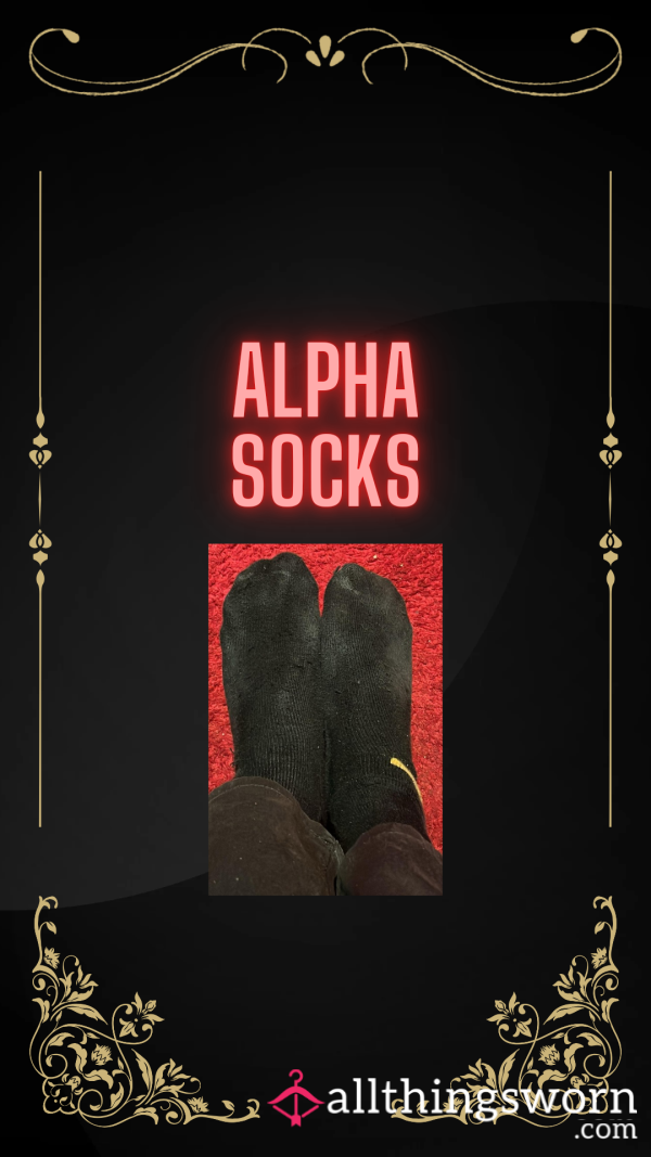 Alpha Socks Now Available - Stenchy 🧀