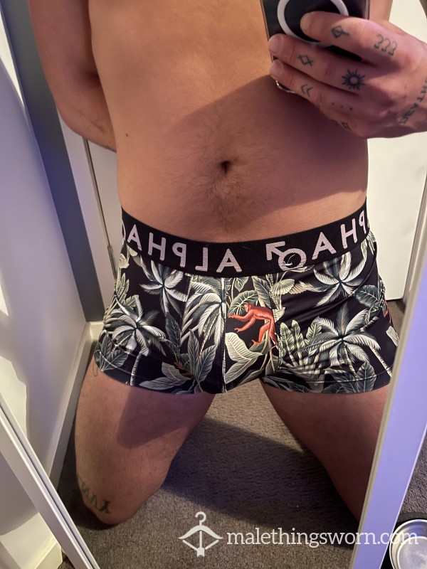 Alpha Trunks