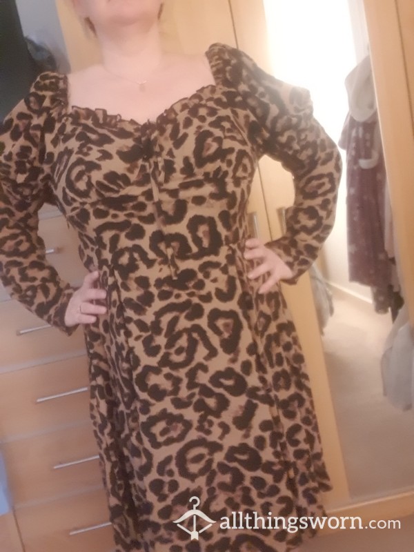 Animal Print Dress