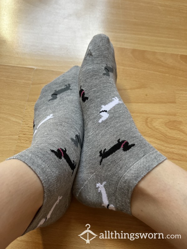 Cute Ankle Socks In 3 Different Colors- 48h Wear