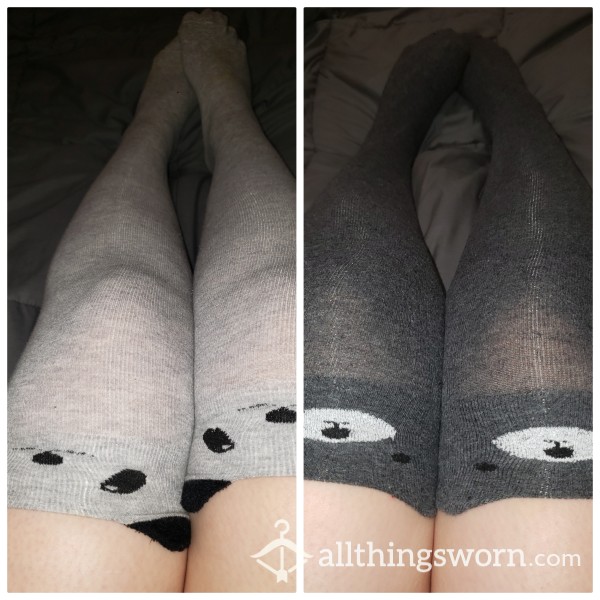 Beary Cute Thigh Highs