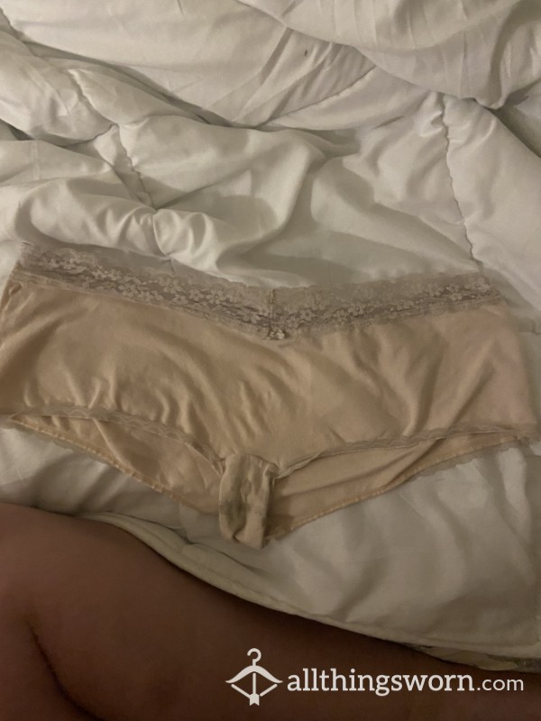 Brief Style Well-worn Panties