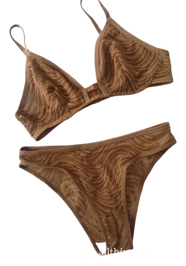 Brown Semi Sheer Bra And Panty