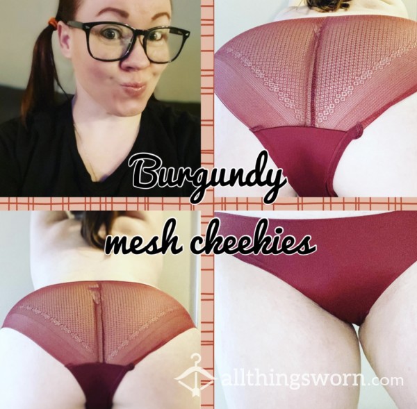 Burgundy Satin And Mesh Cheekies