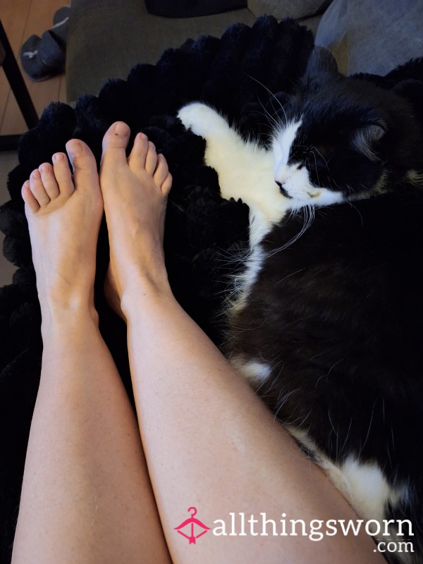 Cat And My Feet.