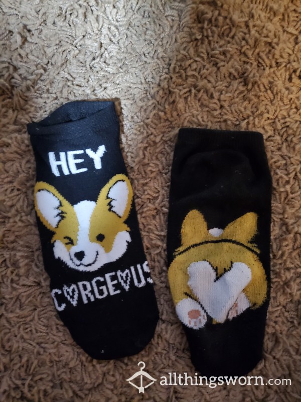 Corgi Socks 🐶 Aka Freaking Adorable 😍