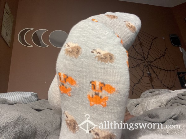 Cute Animal Socks