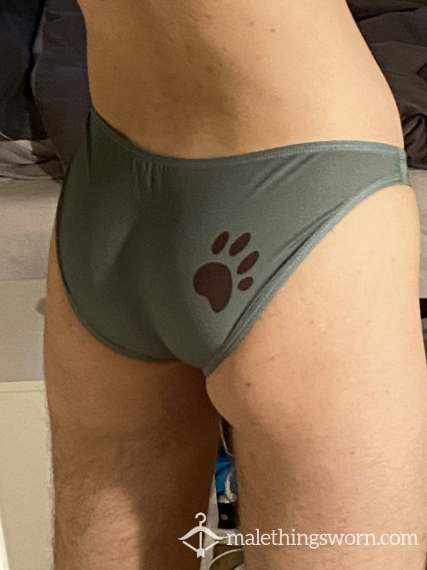 Cute Bear Briefs