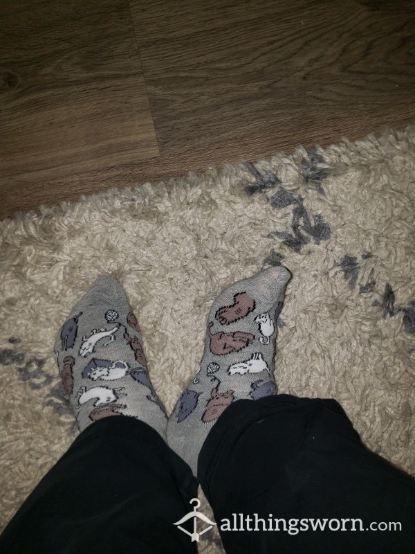 Cute Kitty Ankle Socks