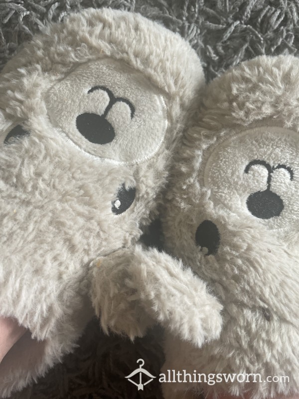 Cute Teddy Slippers