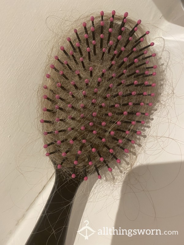 Dirty Blonde Hair / Brush