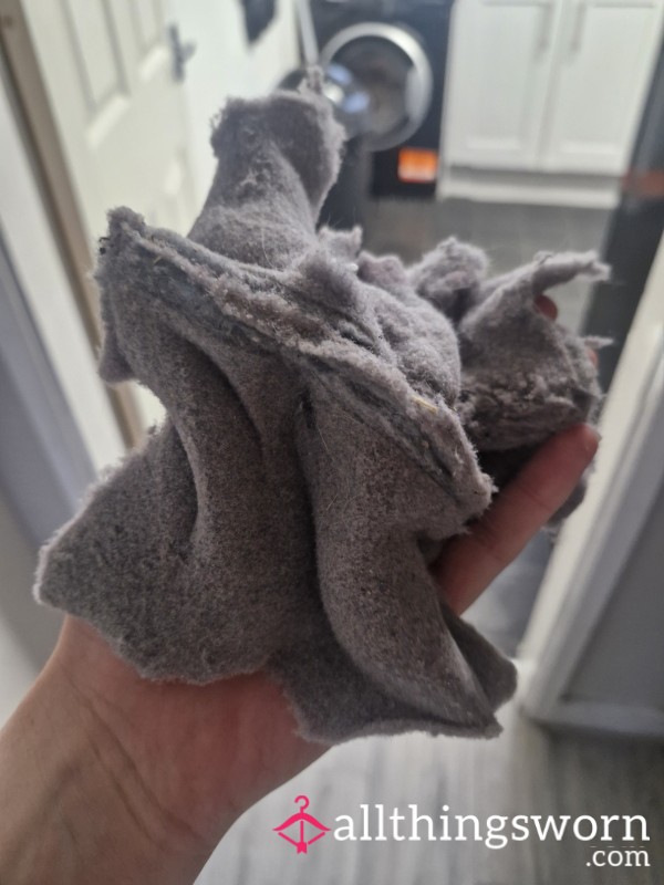 Dryer Lint