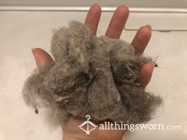 Dryer Lint