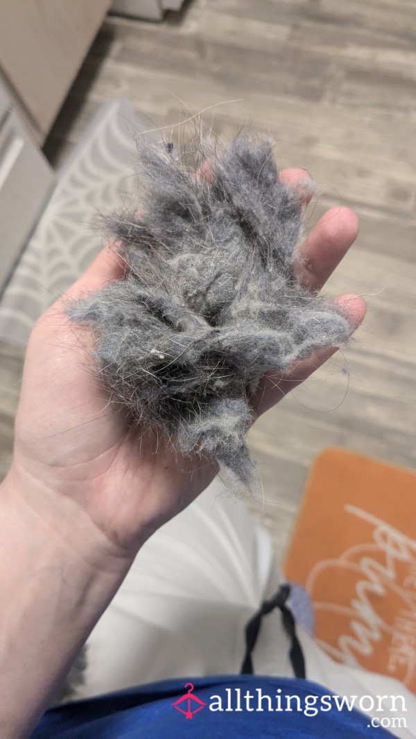 Dryer Lint From Clothing