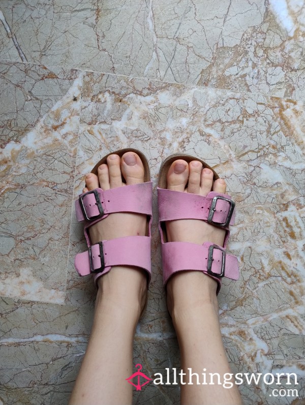 Fake Pink Birken