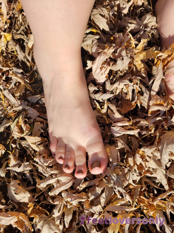 Fall Time Feet