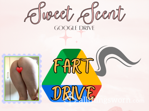 Fart Drive 💨