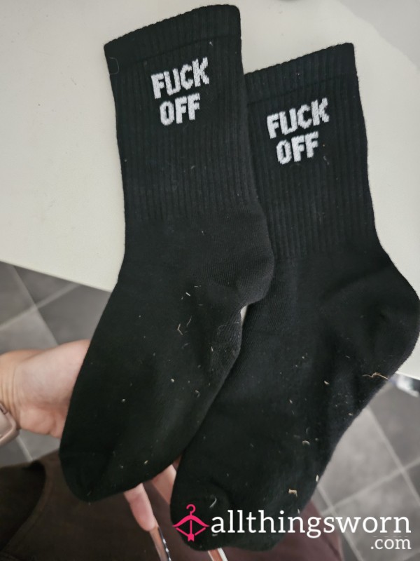 FESTIVAL SOCKIES