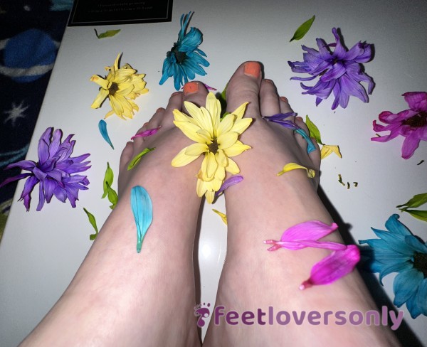 🌼 👣 Flor*l Barefoot Photoshoot! 👣 🌸