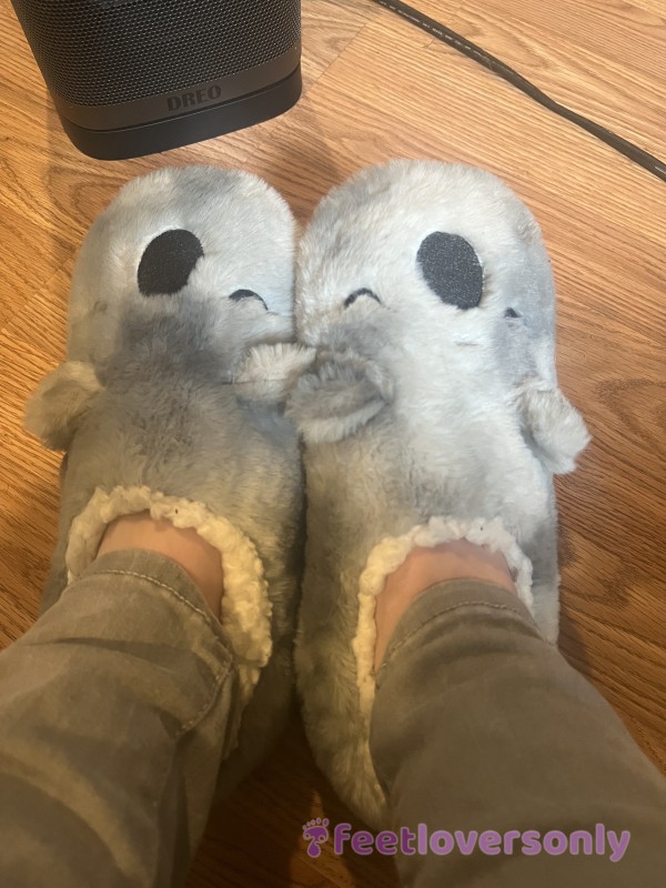 Fuzzy Koala Slippers With Ears