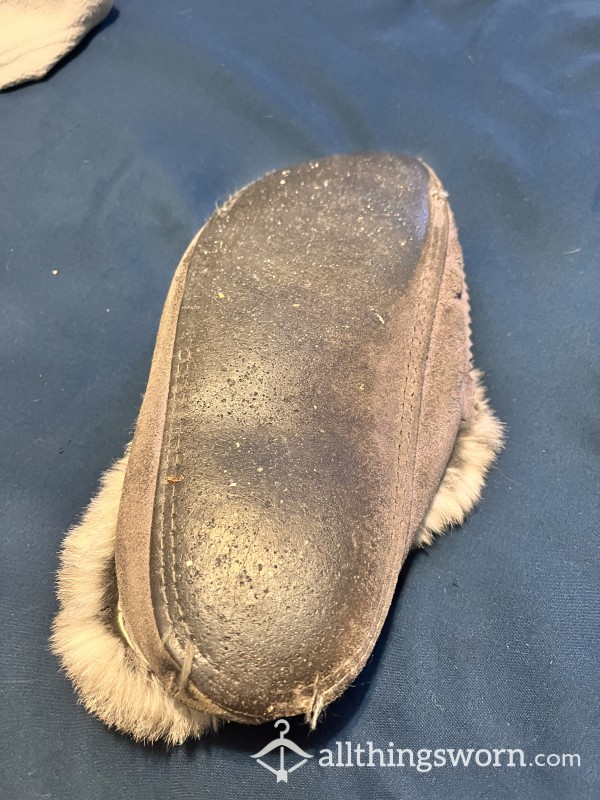 Genuine Moccasin 🐇