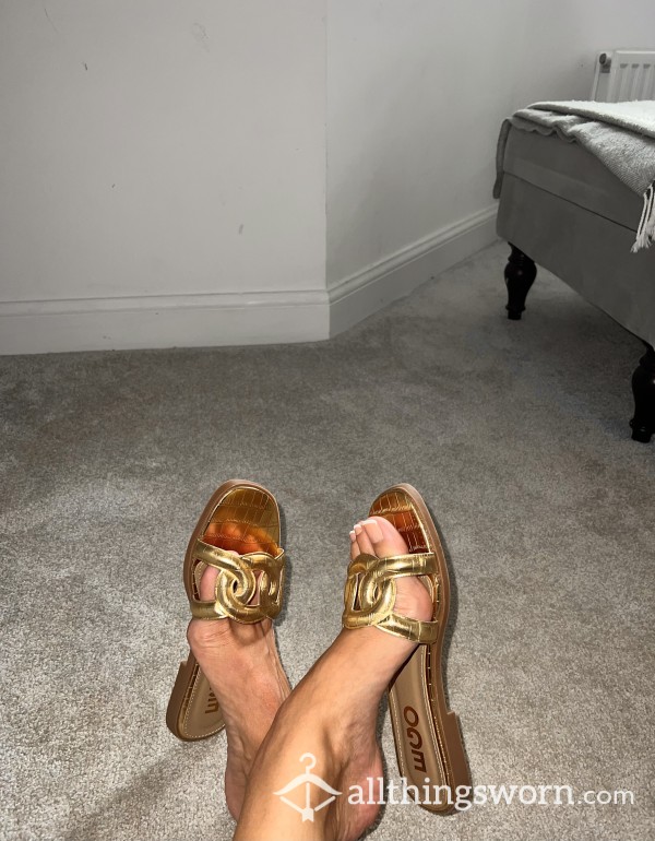 Goddess’s Worn Gold Flat Shoes