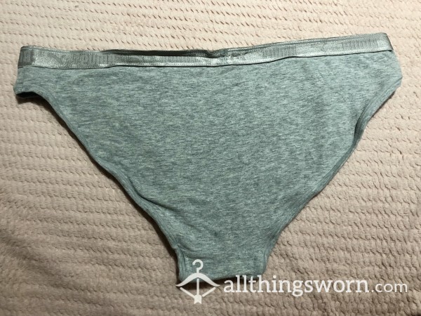 🐱 Gray Puma High Cut Panties - Old 🐱