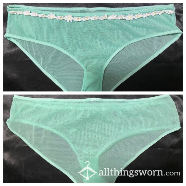 Green Mesh Full Back Panties 🍀