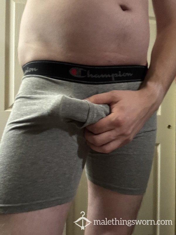 Grey Champion Boxer Briefs L