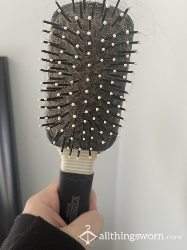 Hair Brush With Hair