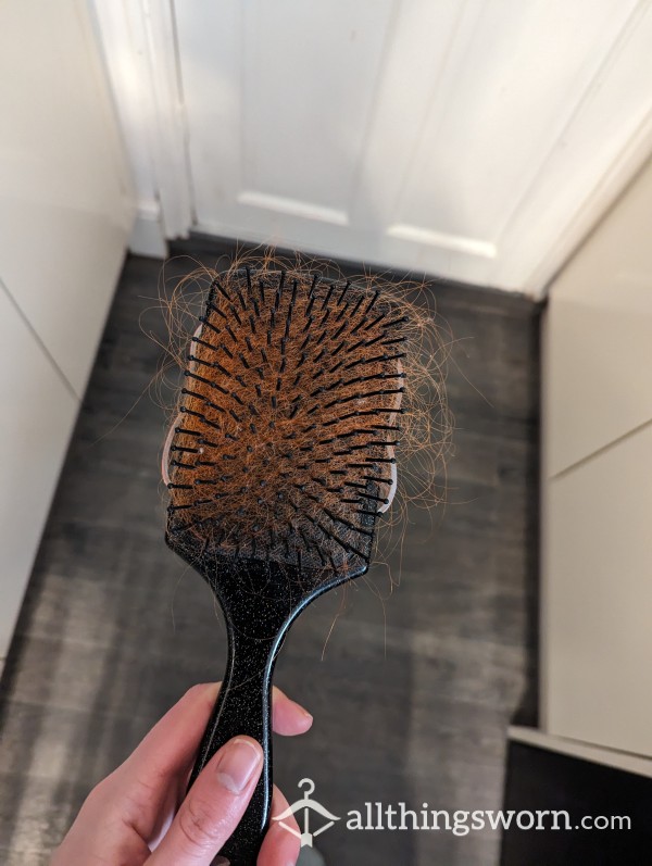 Hair From My Hair Brush