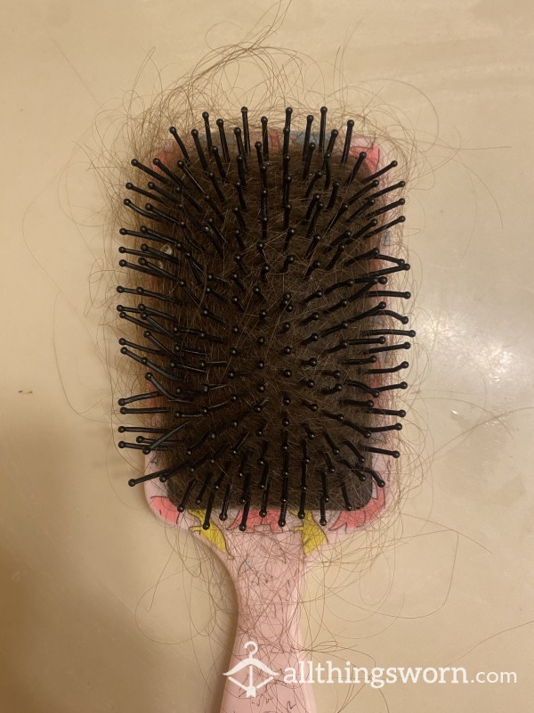 Hair From My Hairbrush