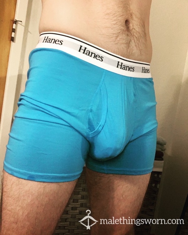 Hanes Blue Boxer Briefs