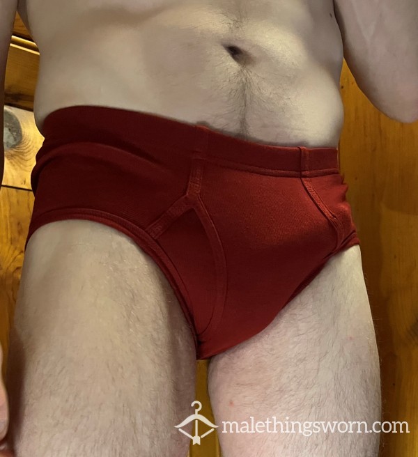 Hanes Red Briefs