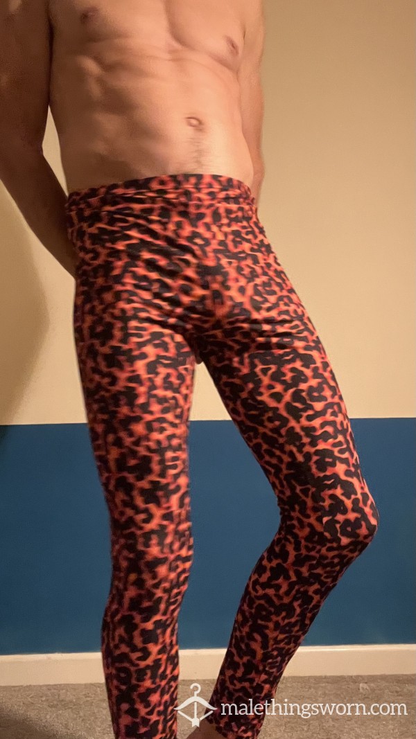 Leopard Tights