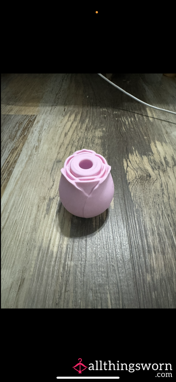 Light Pink Rose Toy