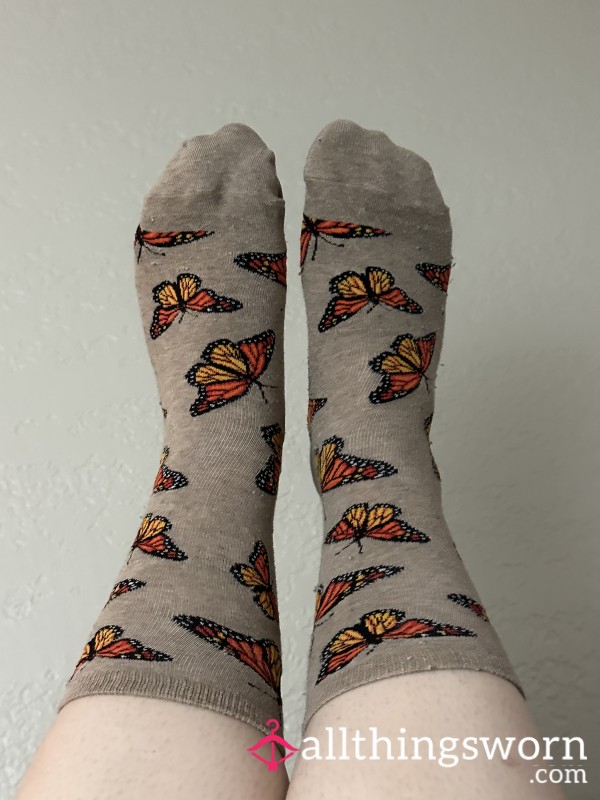 Long Smelly Monarch Bu*terfly Socks (very Stinky, Crusty)