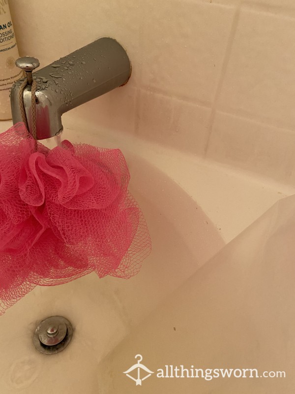 Loofa