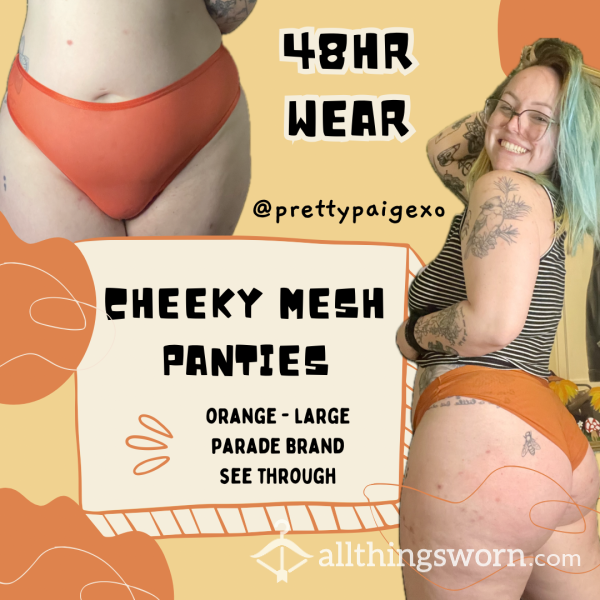 Orange Cheeky Panties 🔥 See Through Mesh, Size Large 🧡 Parade Brand — 48hr Wear