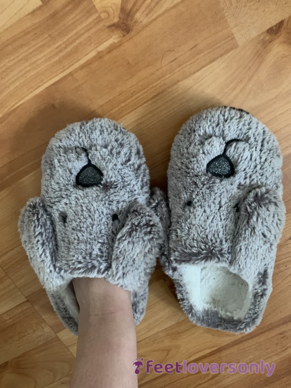 My Favourite Slippers