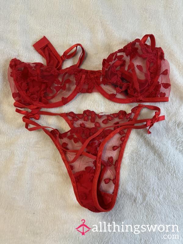 Nasty Gal Red See Through Sheer Heart 2 Piece Set Lingerie