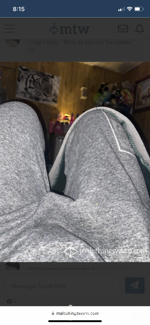 Grey Joggers/ Sweatpants