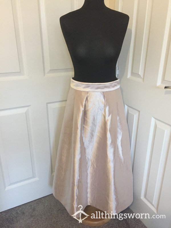 Never Been Worn Princess Skirt