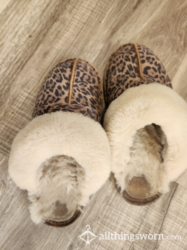 Old, Worn Down Leopard Bear Paw Slippers