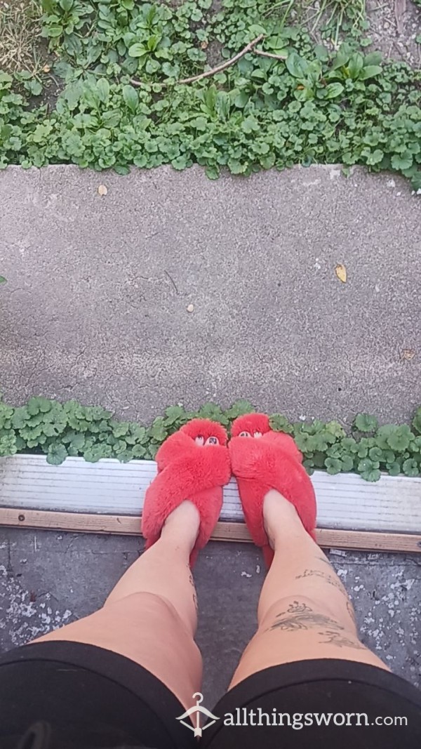 ♡♡♡ $25 Orange Slippers!!! ♡♡♡